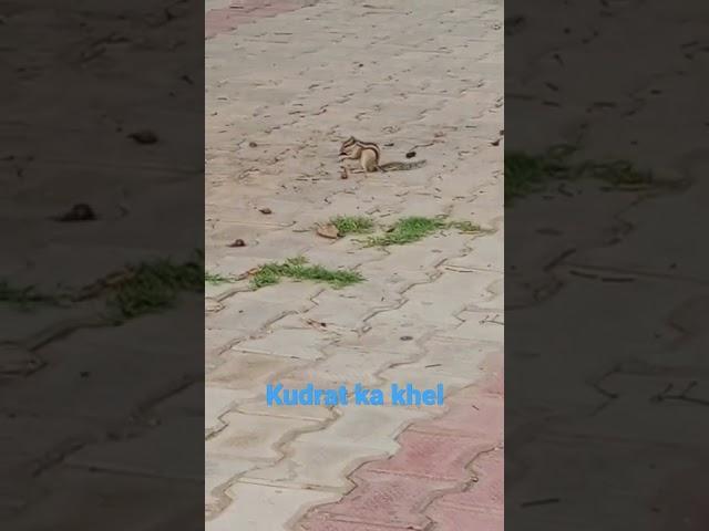 #kudrat ka khel# short viral video