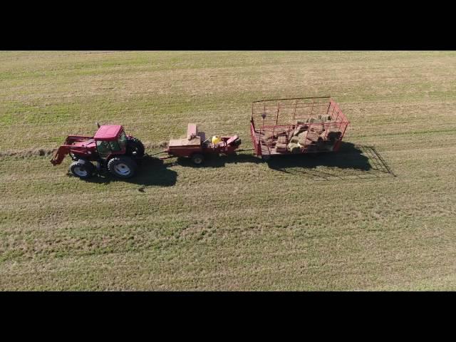 Baling Hay 2016