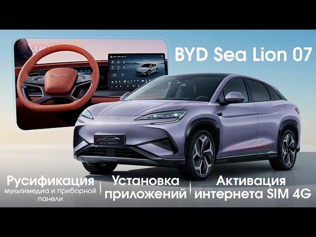 Byd Sea lion 07 -диагностика, обновление, русификация монитора, приборной панели, SIM, приложения