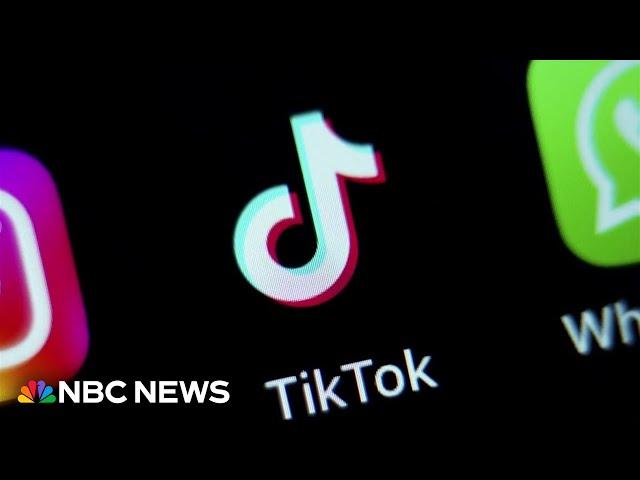 Supreme Court appears unlikely to block TikTok ban from taking effect