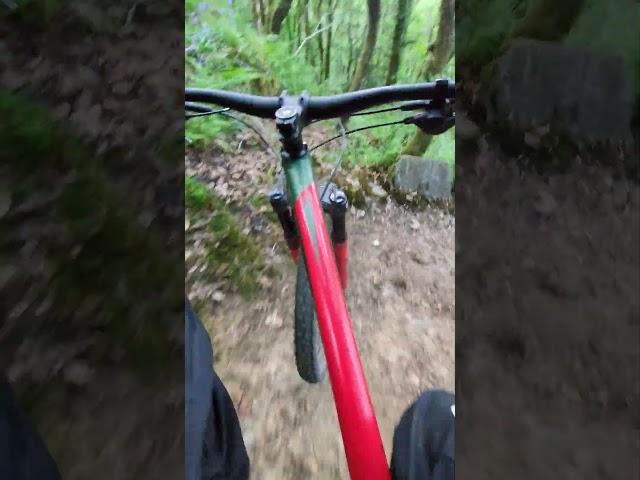 Full Crynant Mountain Run From Top To Bottom #downhill #mtb #downhillmtb