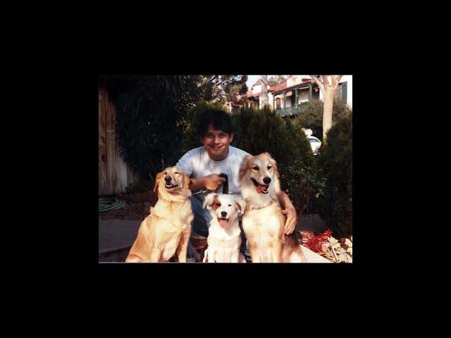 Remembering Our Dogs    "Can't Help Falling in Love -  Baumwoll Archives Tribute