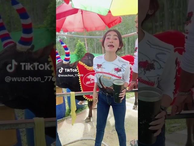 สุดยอด ไปเย้ยย #วัวชน #แทงวัวชน #วัวชนมันๆ