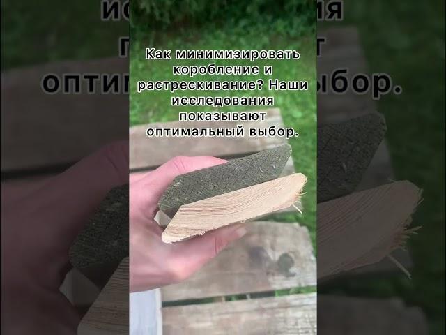 Планкен из лиственницы: Двухлетний эксперимент и математика идеального выбора #планкенизлиственницы