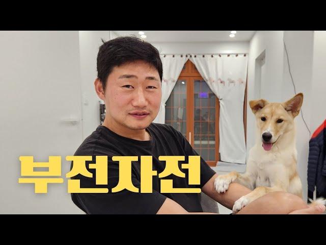 부전자전이 바로 이런거죠  유기견|유기견입양|강아지