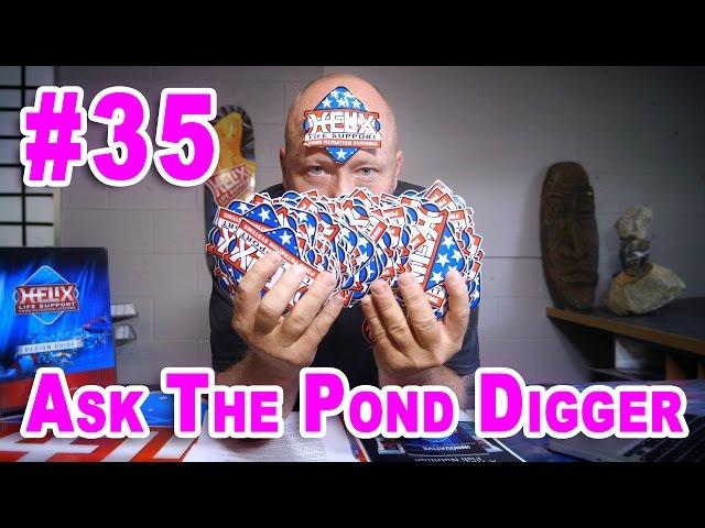 Building a Koi Pond in Phases - Ask #35