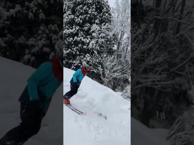 Back flip and powder day here in Japan