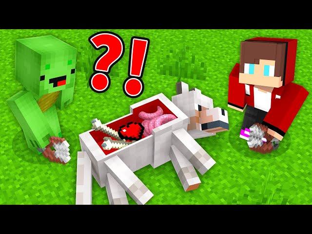 Mikey and JJ Became VETS in Minecraft Maizen