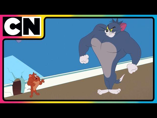 Tom & Jerry | Just Cat & Mouse Things | #tomandjerry | Funny Cartoons | @cnindia