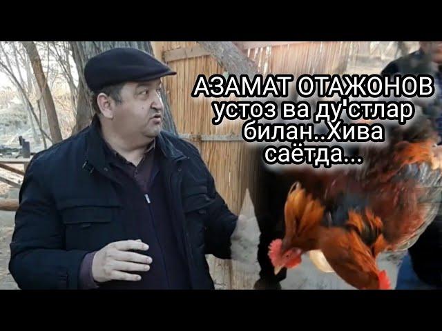 АЗАМАТ ОТАЖОНОВ устоз  улфатлар билан (2 Ху'роз)