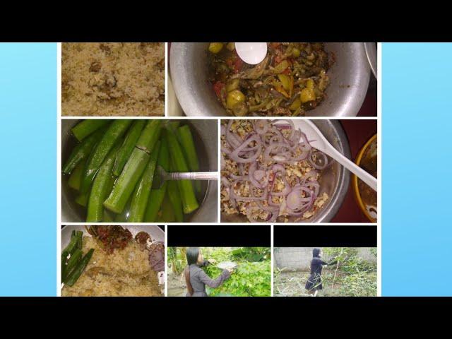 Naga Local Chicken Biryani/With Veg in my kitchen garden/ Lily Lomou chang//