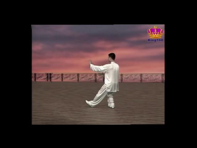 陳思坦~24式太極拳全套示範（背面） Yang style 24 form Tai Chi