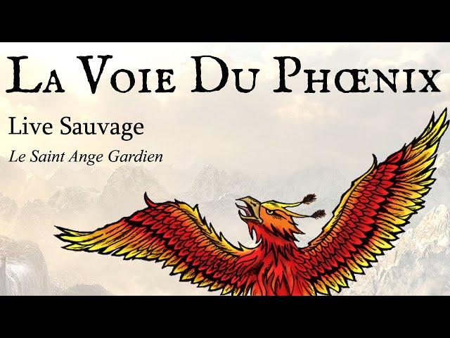 LIVE SAUVAGE - Le Saint Ange Gardien