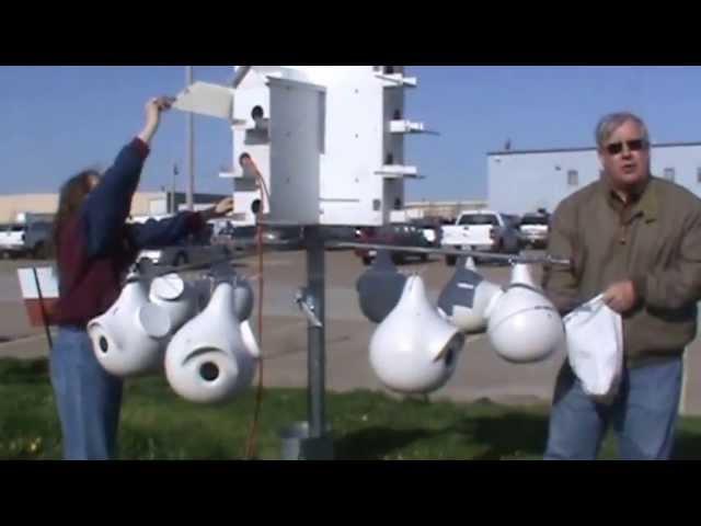 Bird Man Mel talks Purple Martins and Houses