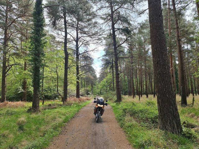 Merv's Green Lane Adventures On A Honda Varadero XL1000V Adventure Bike - New Forest National Park