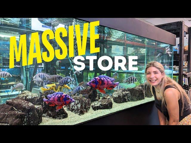 Amazing African Cichlid Store Tour in Canada // Finatics Aquarium