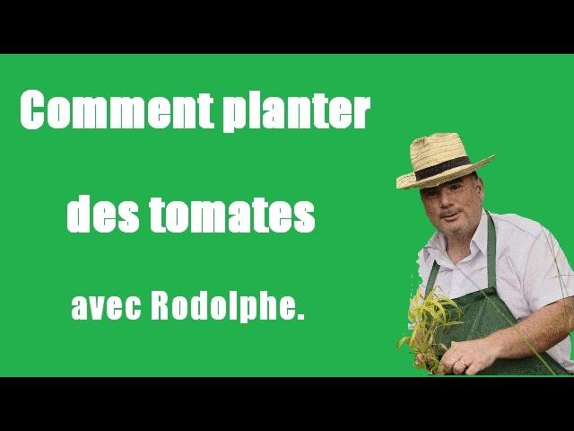 Comment planter des tomates.Tuto,vidéo,jardinage Le jardin de Rodolphe