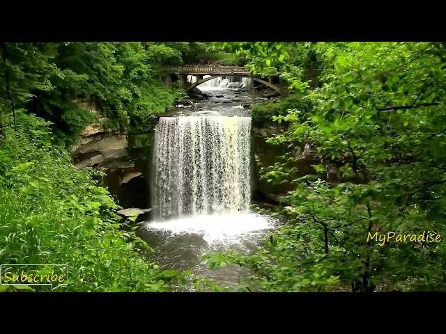 Relaxing Piano Music-Sleep Music-Calming Waterfall Sounds-Relaxing Music-Meditation Music-Bird Song