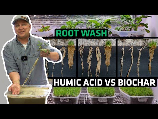 Humic Acid and Biochar Rooting Mass- Must See!!