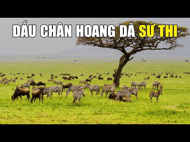 Huyền Thoại Hoang Dã Tanzania | Khám Phá Thế Giới Động Vật Hoang Dã