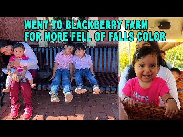 WENT TO BLACKBERRY FARM FOR MORE FELL OF FALLS COLOR