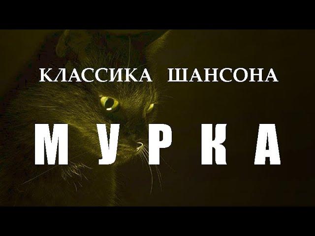 МУРКА (классика шансона)