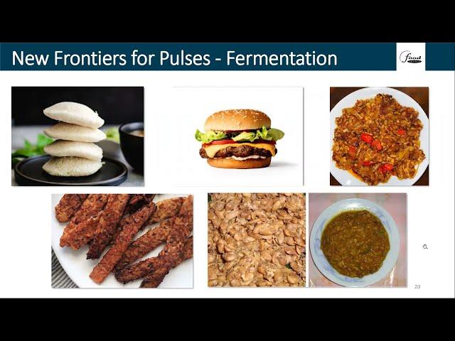 Overview of Global Fermented Pulse-Based Foods Webinar