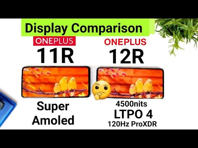 Oneplus 12R vs Oneplus 11R Display Comparison Which is Best #oneplus12r #oneplus11r