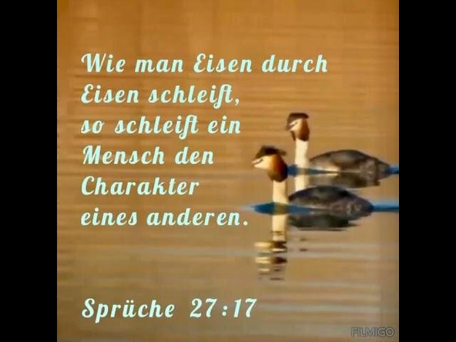 Weisheitsspruch