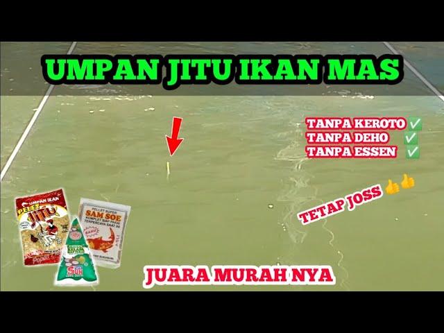 UMPAN JITU IKAN MAS‼️GA ADA LAWAN #umpanjitu #fishing #bestfishing #mancingikanmas #carpfishing