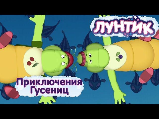 Лунтик - Приключение Гусениц. Мультики 2017