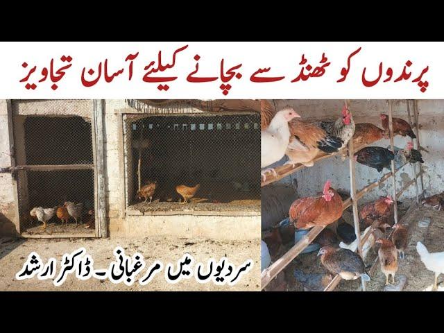 Chickens in Winter | A Complete Guide to Caring for your Flock | Dr. ARSHAD