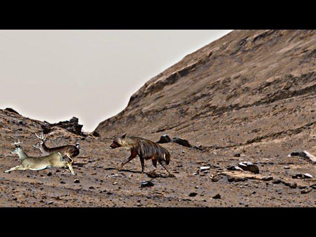 new 4k mars space video curiosity rover | NASA's released new footage mars(2)