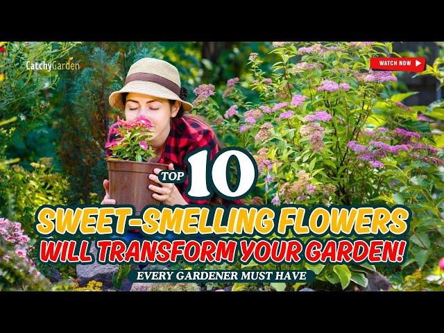  TOP 10 SWEET-SMELLING FLOWERS Will TRANSFORM Your Garden!  // Gardening Ideas