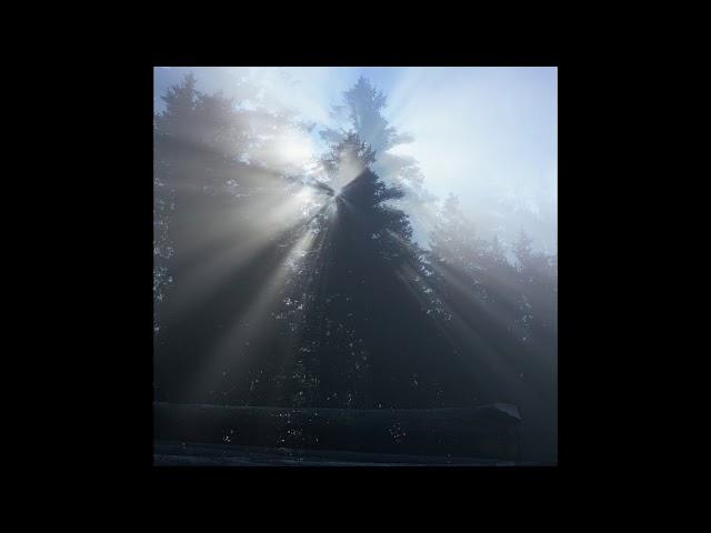 Schwarzwald, Berge, Lichtmomente