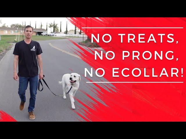 Stop leash pulling fast.  No ecollar, no prong, no treats