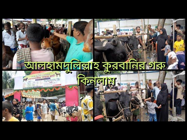 আলহামদুলিল্লাহ শশুরের সাথে বাজারে যেয়ে কুরবানির গরু সবাই মিলে কিনলাম /khuki vlogz