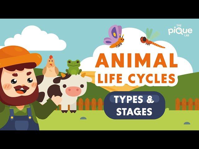 Animal Life Cycle Types and Stages | Primary School Science Animation