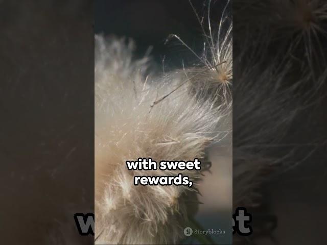 Seed Dispersal: Nature's Ingenious Offspring Spread #shorts #short #explore #explained #nature