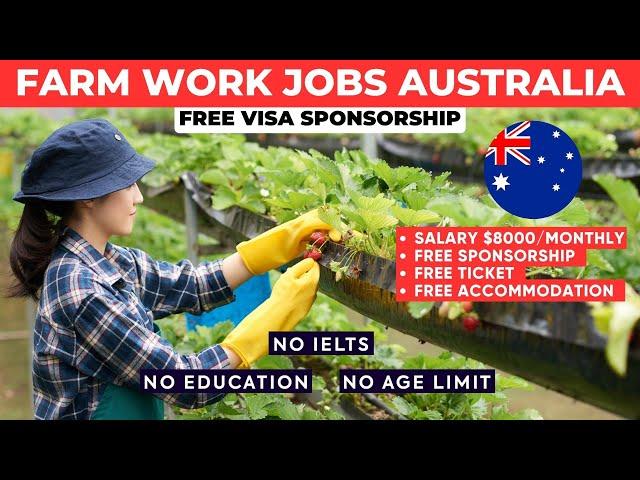 Australia Farm Work Jobs with FREE Visa Sponsorship for 2024 - Australia Work Visa