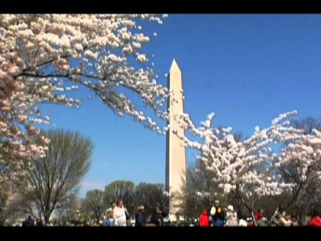 Accuweather: Ideas for Family Friendly Spring Break Trips