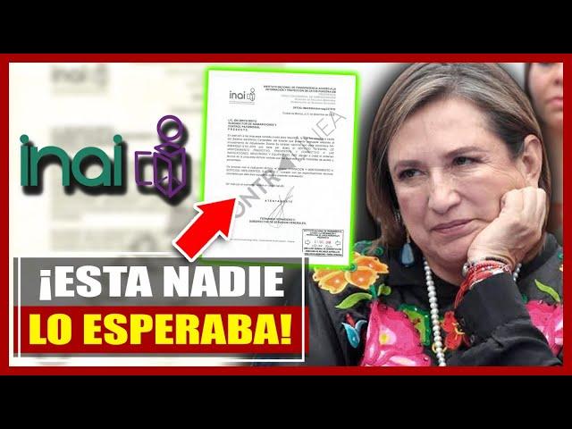 ¡POR FIN LE CAYÓ LA LEY A XÓCHITL GÁLVEZ! CONGRESO LE TUMBA SU NEGOCIO MILLONARIO