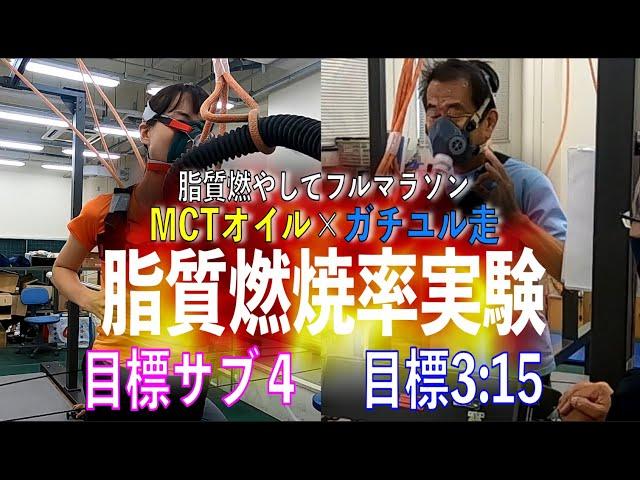 MCTオイルxガチユル走で脂質燃やしてフルマラソン！④～3時間15分切りと4時間切りを目指すランナー2人が脂質燃焼率を測定！弾き出された予測タイムとは？