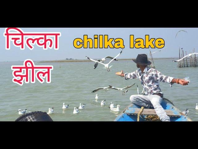 चिलिका झील - Chilika Lake Tour # chilka jheel doston ke sath enjoy.