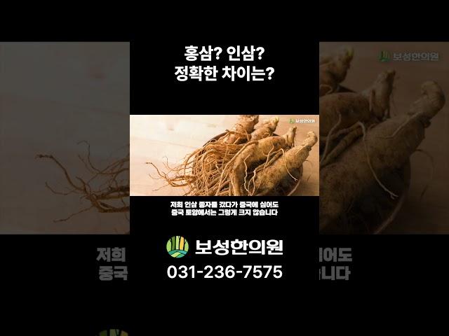 홍삼? 인삼? 정확한 차이는?
