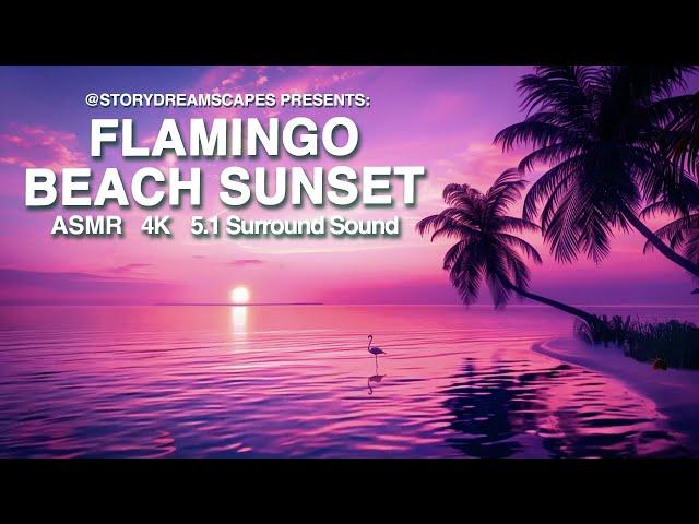 Flamingo Beach Sunset Story Dreamscape - Relaxing ASMR and Soothing Imagery for a Calm Chill Vibe