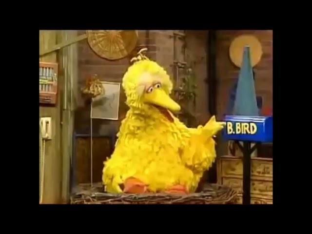 Sesame Street Learning About Numbers Part 9