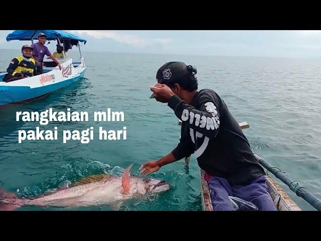 Mancing kurisi buabon pakai rangkaian mengundang segala ikan dasar # ala papa. RETTE mania