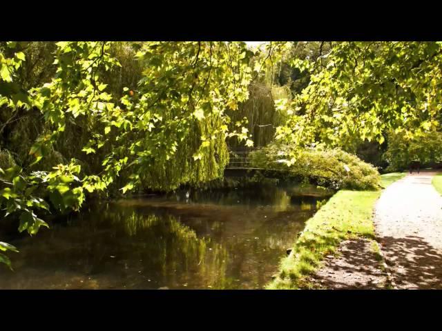 Mottisfont Abbey