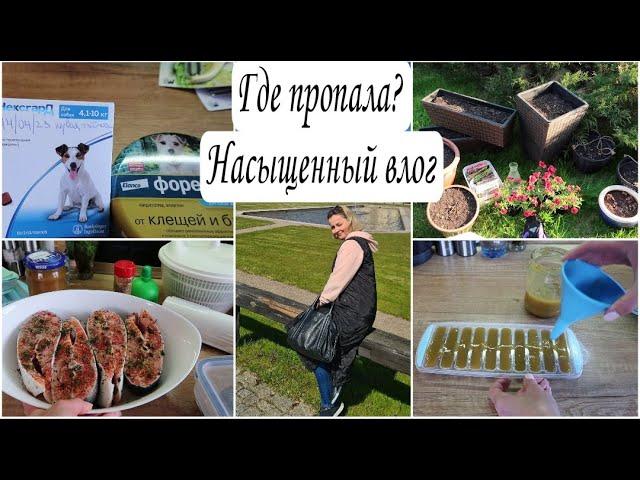  МОЩНАЯ МОТИВАЦИЯ *САЖУ ЦВЕТЫ *ЗАЩИТА от КЛЕЩЕЙ #уборка #мотивациянауборку #хранение Юлия Пушнегина